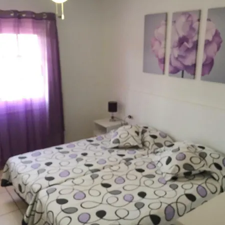 The Palms Apartment *